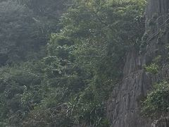 -天宫洞