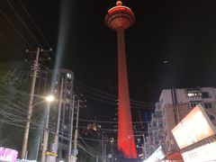 -辽宁电视塔