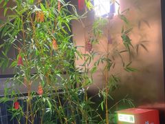 -顺香居·老字号湖北菜(江汉路店)