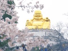 -苏州上方山国家森林公园