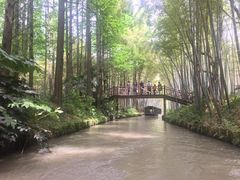-同里国家湿地公园