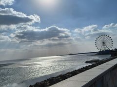 -奉贤海滩