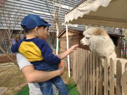 -萌宠亲子动物乐园(槐房万达店)