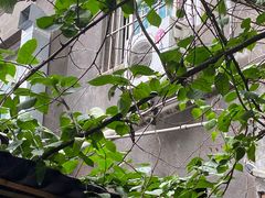 -苟味道老火锅(黄桷坪店)