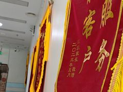 -中农国际动物医院24小时·猫科·骨科·急重症中心