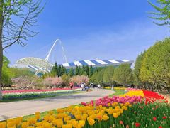 -石家庄市植物园