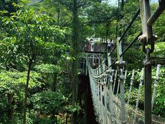 -新加坡飞禽公园