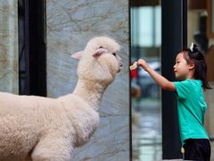 -廊坊固安福朋喜来登酒店