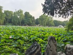 -莲池书院博物馆