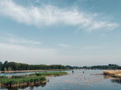 -野鸭湖国家湿地公园