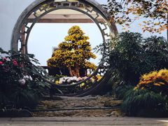 -杭州植物园