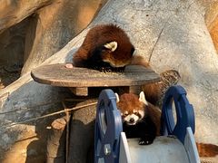 -临沂动植物园