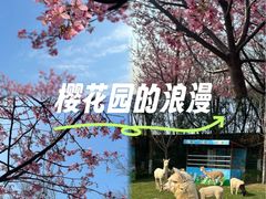 -凤凰沟景区