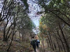 -龙洞风景区-藏龙涧