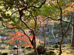 -西芳寺(苔寺)