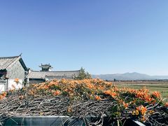 -喜林苑·稻田餐厅(品相府店)