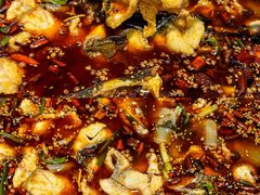 -胖子鱼·天水麻辣鱼火锅(秦州407店)