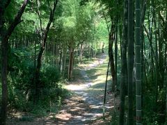-采石矶景区