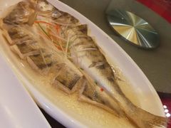 龙鳕鱼-盛福楼·惠山宴(盛岸路店)