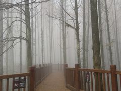 -山王坪喀斯特国家生态公园