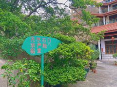 -漳州云洞岩风景区-瑞竹岩