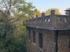 -紫金山山顶公园