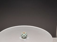 -上海中国航海博物馆