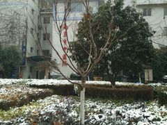 -南京市中医院-体检中心