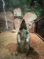 -酷嗒动物文化乐园(cutezoo西溪乐天城店)