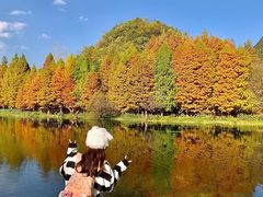 -贵阳市花溪国家城市湿地公园