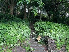 -海口火山口国家地质公园