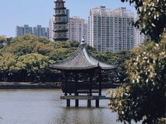 -江心屿景区