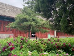 -大钟寺古钟博物馆
