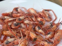 -新合益乡村农庄