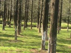 -宜兴龙背山森林公园
