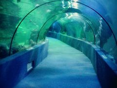 -南昌海洋公园