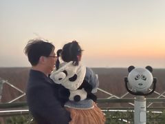 -黄海国家森林公园