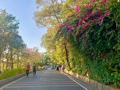 -广州市白云山风景名胜区
