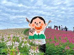 -径山花海
