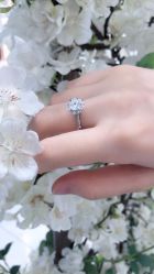 -DR钻戒(杭州星光大道店)