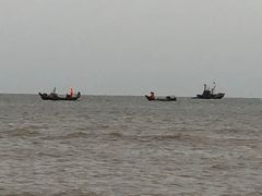 -日照海滨国家森林公园