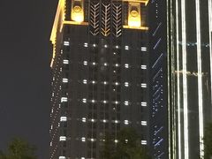 -成都明宇丽雅饭店