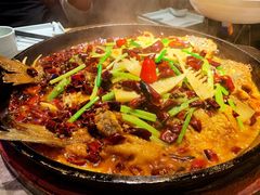 -老板恋上鱼(恒隆广场店)