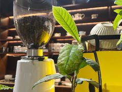 -沏点Trattoria意大利餐厅(新街口店)