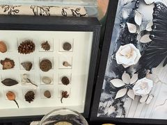 -天津波士信达奔驰4S店(卫津南路店)