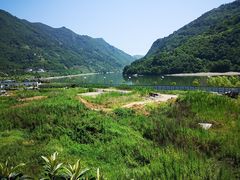 -后柳水乡