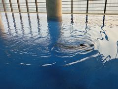-廊坊固安福朋喜来登酒店