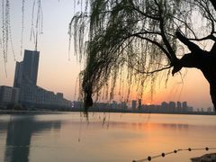 -天鹅湖体育公园