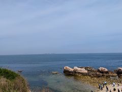-养马岛旅游度假区