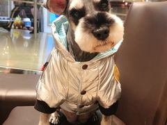 -VENCHI 闻绮(北京国贸商城店)